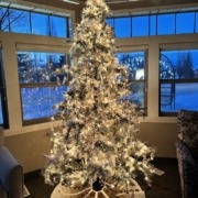 Christmas tree at Red Deer Hospice