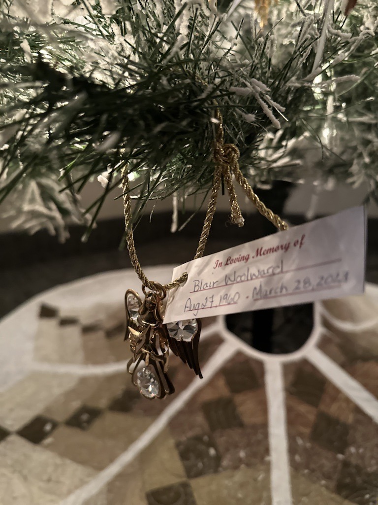 Ornament Hanging on a Christmas Tree